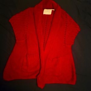 Angel of the North Vest